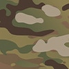 MultiCam